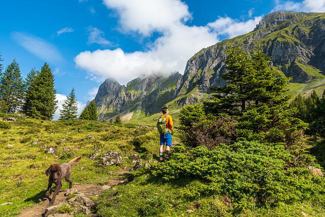 groodle on mountain walk with person 640
